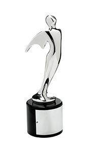 Telly Award